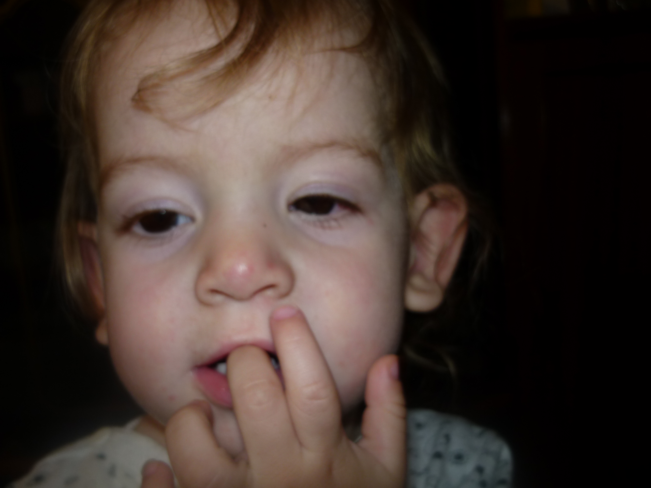 fotos/2011-10-10 - Iara indiecita, cena chiquilo/P1020316.JPG